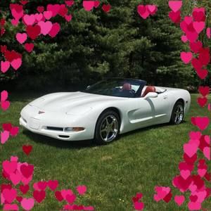 Meet your Posher, Tamara